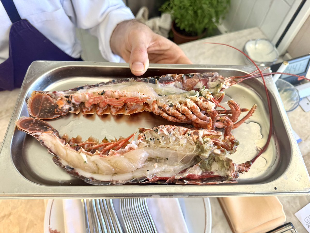 Jungle Rock tweet media