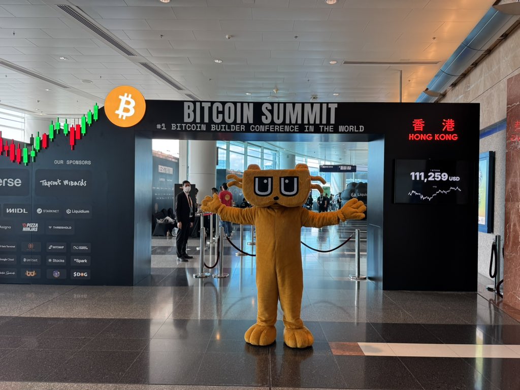 Bongo 🥁 tweet media