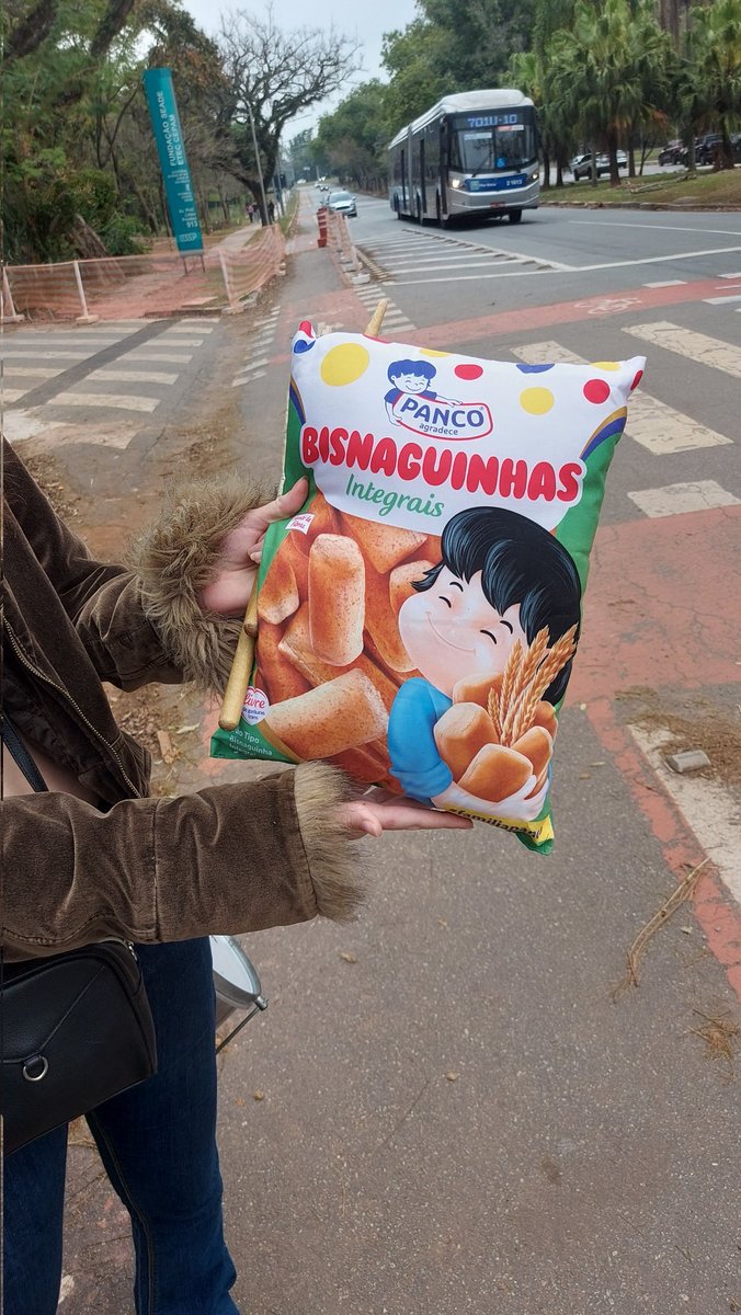 apenas uma almofada de bisnaguinha integral em tamanho real...