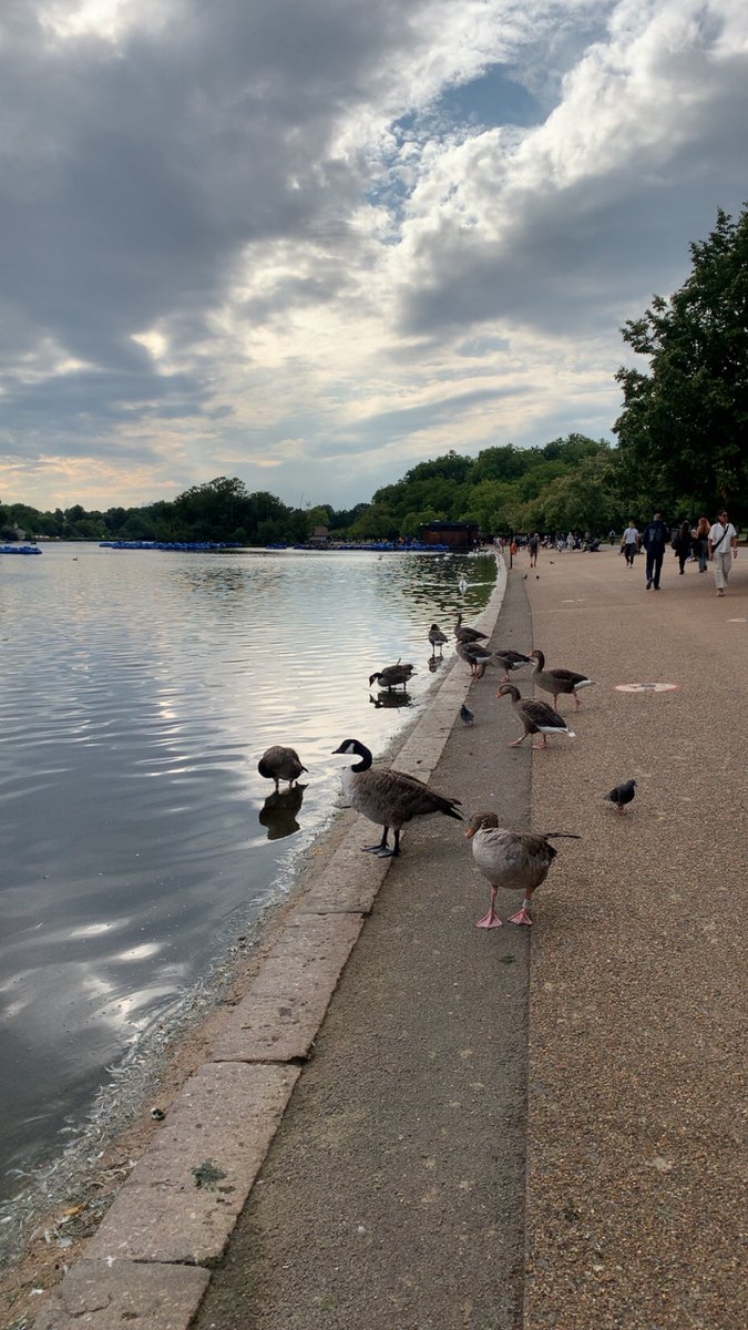 #مساء_الخيرᅠ

في هايد بارك #لندن كانت لي ذكريات جميله  🌧️🌧️....

لستُ اعلم أ #لندن  جميله كما عهدتها منذو سنوات ام تحديثات جديده طرأت لتلك المدينه الي لم اعهد جمالها الا هذه السنه !؟؟  
🌧️🌧️🌧️