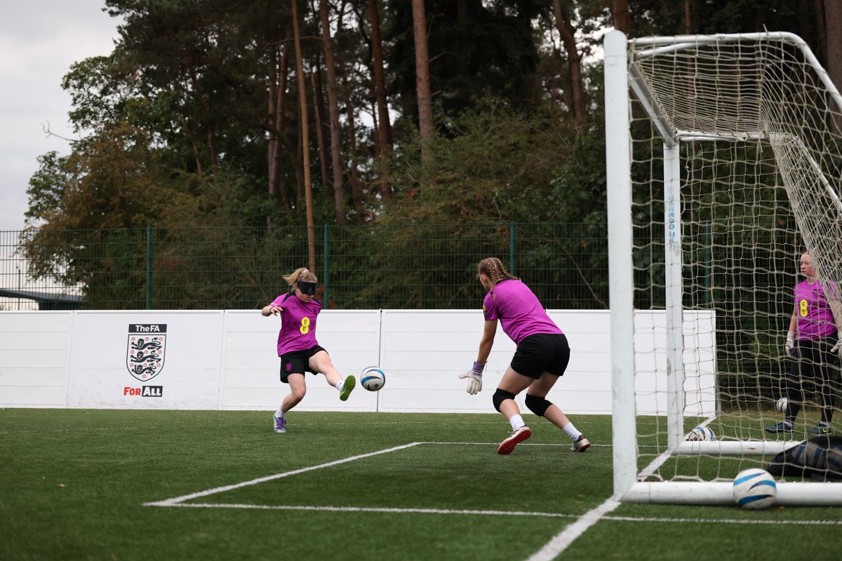 Lionesses tweet media