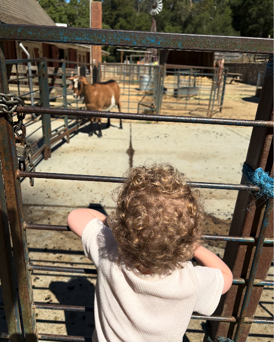 fastly's tweet image. Time to reset. 💆‍♀️💻 Fastly’s Wellness Day give employees a chance to fully unplug—no deadlines, no pings, just space to recharge. From outdoor adventures to creative pursuits, we’re proud to support a culture that prioritizes care. #LifeAtFastly