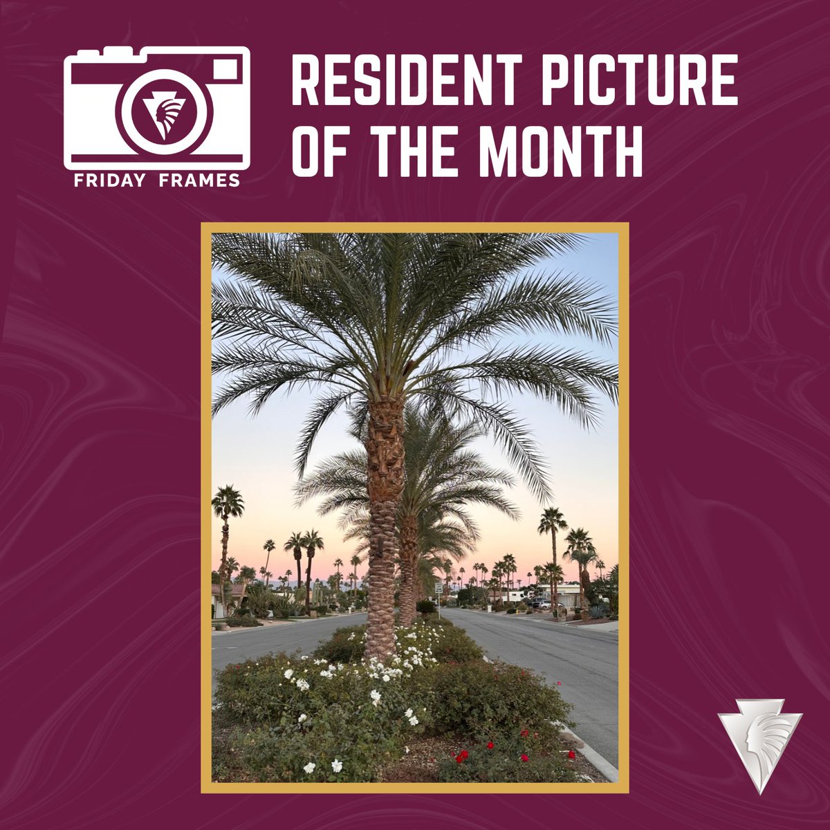 indian_wells's tweet photo. Happy Friday, #IndianWells!
August's #FridayFrames captures a peaceful moment along one of our palm-lined streets, where flowers and swaying palm fronds welcome the soft glow of sunset. It’s the kind of desert evening that reminds us why we love calling this place home. 🌺✨
📸 Have a photo that captures the spirit of Indian Wells? Send it to Community@IndianWells.com for a chance to be featured on our social media or the cover of our monthly newsletter!
💬 Where do you go to catch the best sunset views in Indian Wells?
