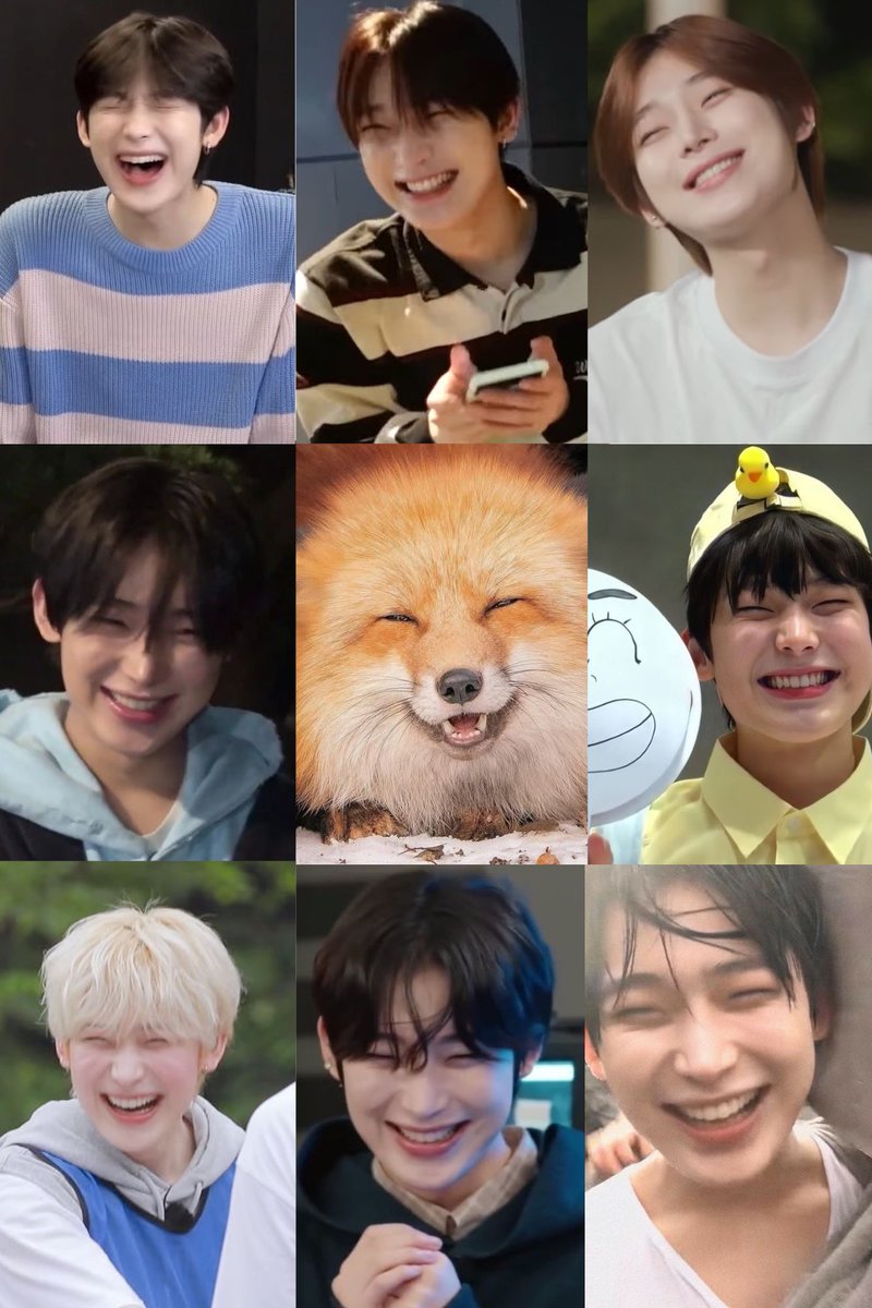 noovinyls's tweet photo. Sunoo’s such a fox omg 😭 https://t.co/8wtoHez1A5
