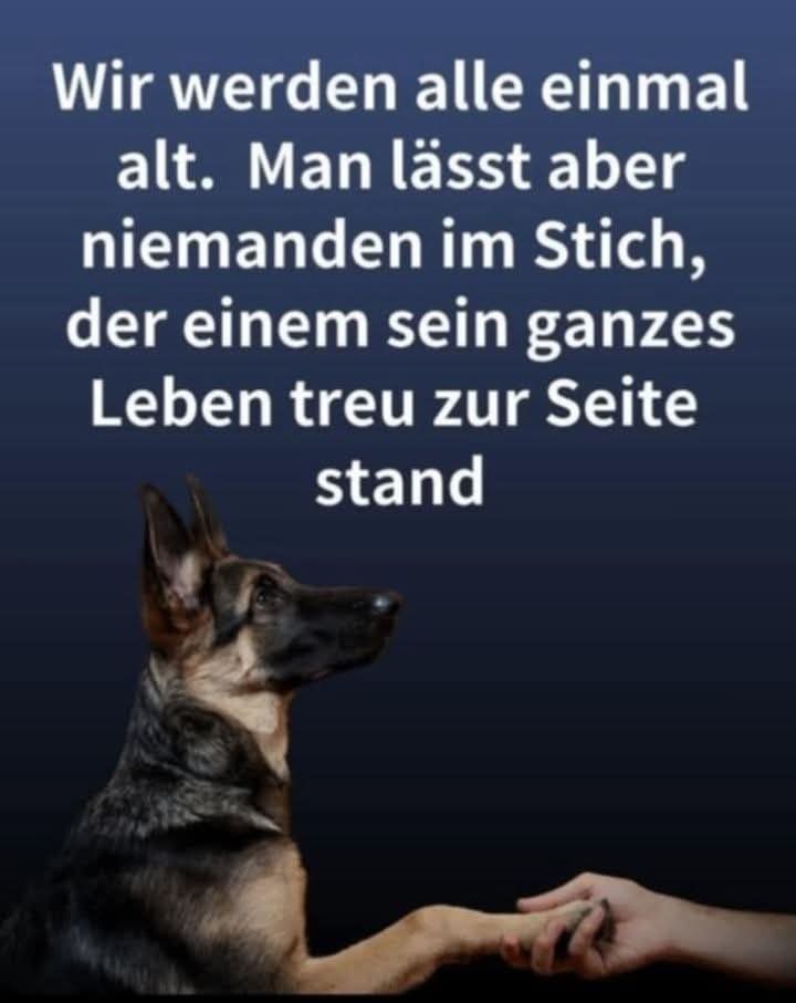 NIEMALS, DAS IST EHRENSACHE!!!!