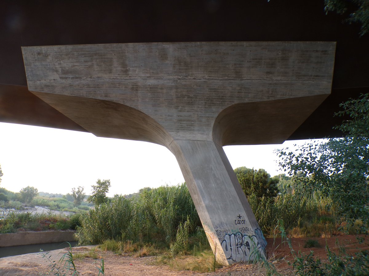 Jose C Gomez tweet media