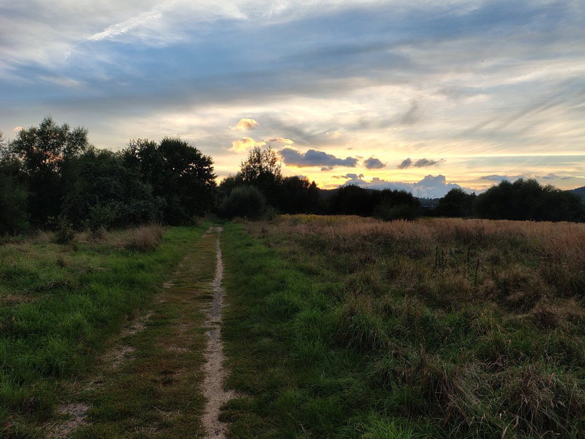 Kolejny magiczny wieczór