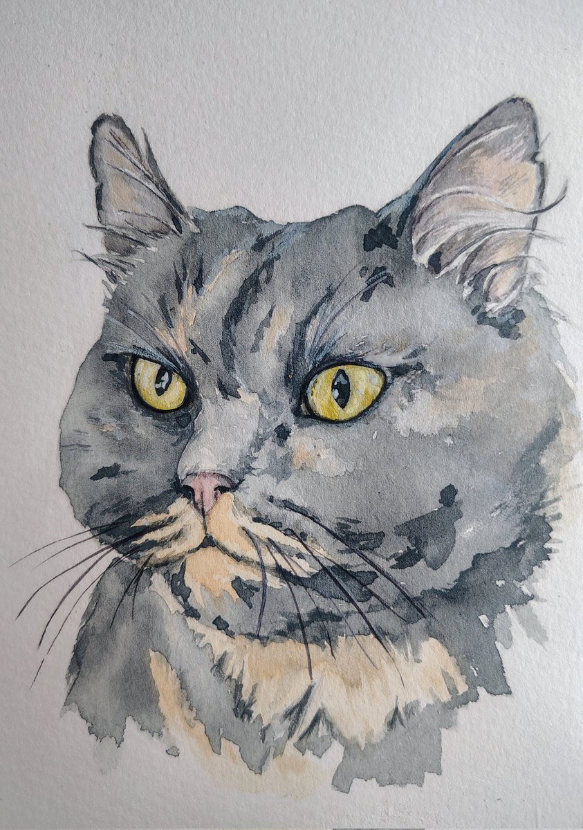 Друзі, замовляйте акварельні портрети за посильну підтримку збору побратимів брата
Вам пам'ять, хлопцям вантажівка, мені маленька розрада - всі у виграші
Разом вистоїмо