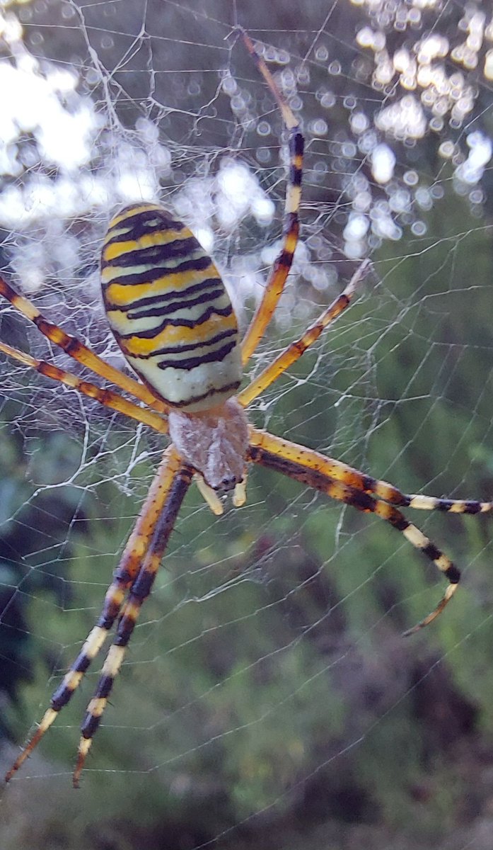 Jackie Leonard tweet media