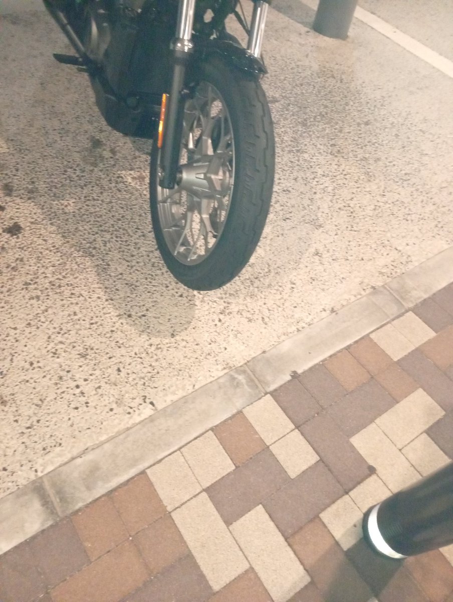 佐野サービスエリア
栃木名産のおつけものを買いに来た🏍️

マイハーレーかっこいい！