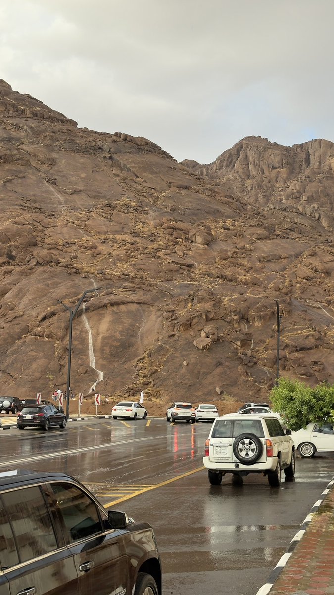 فايد بن فهد الزعيزع tweet media