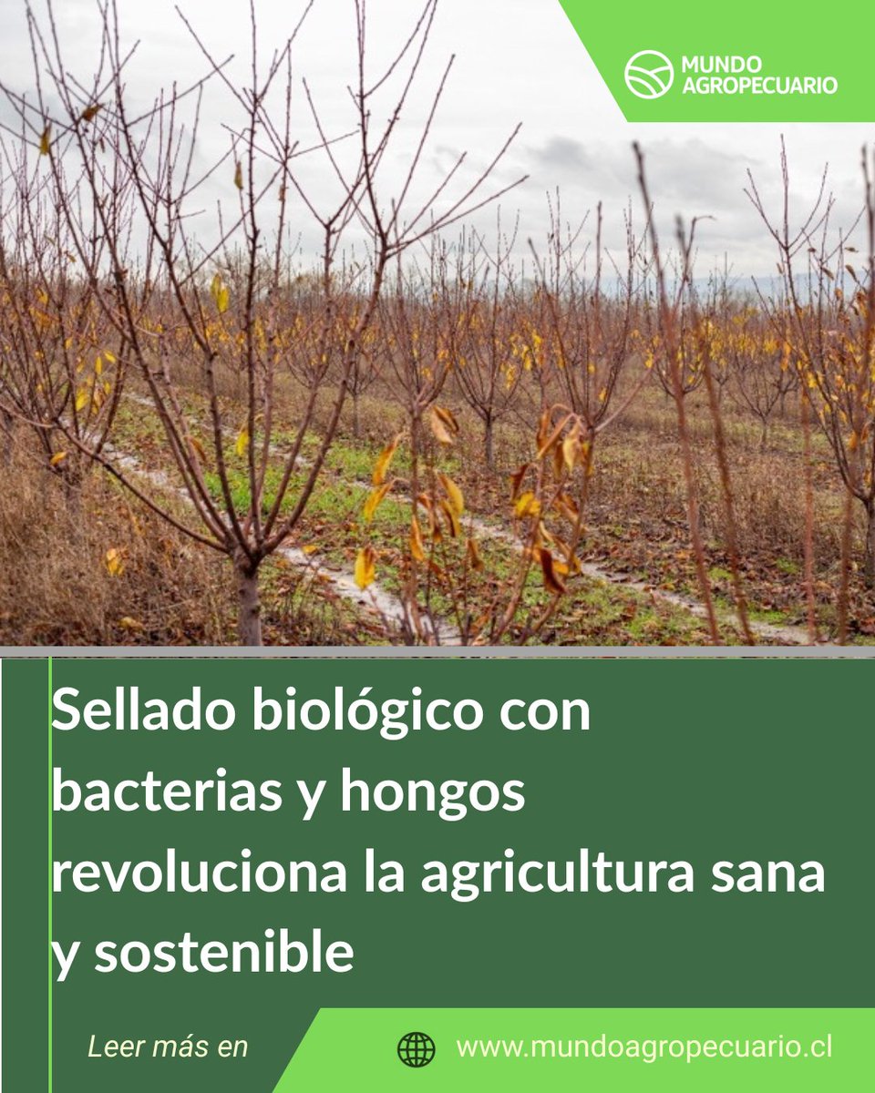 Mundo Agropecuario tweet media