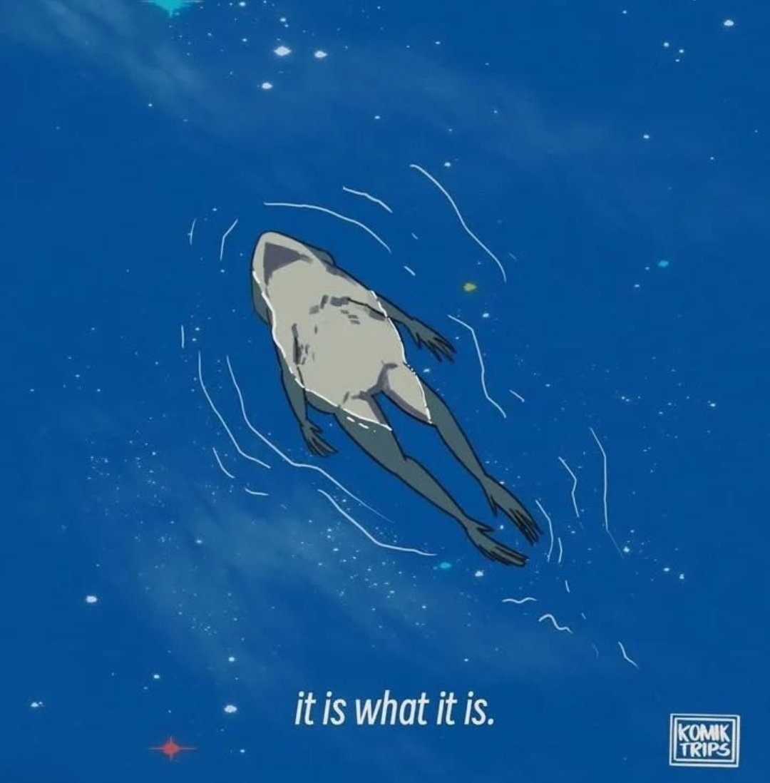 No Context Frogs (@nocontextfrogs) on Twitter photo 