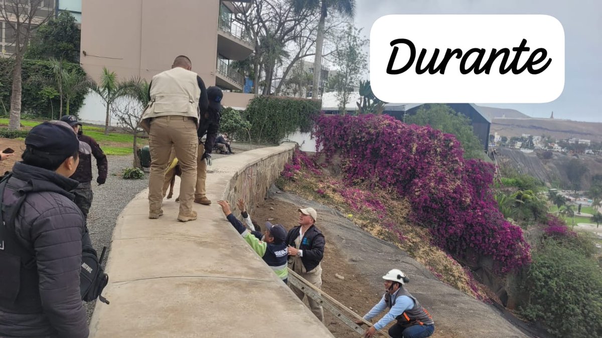 Municipalidad de Chorrillos tweet media