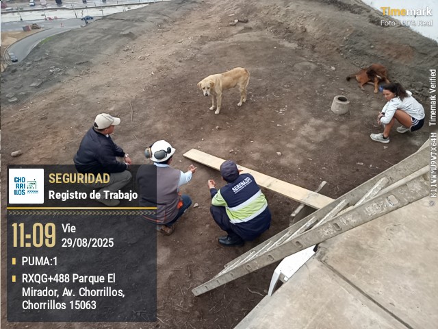 Municipalidad de Chorrillos tweet media