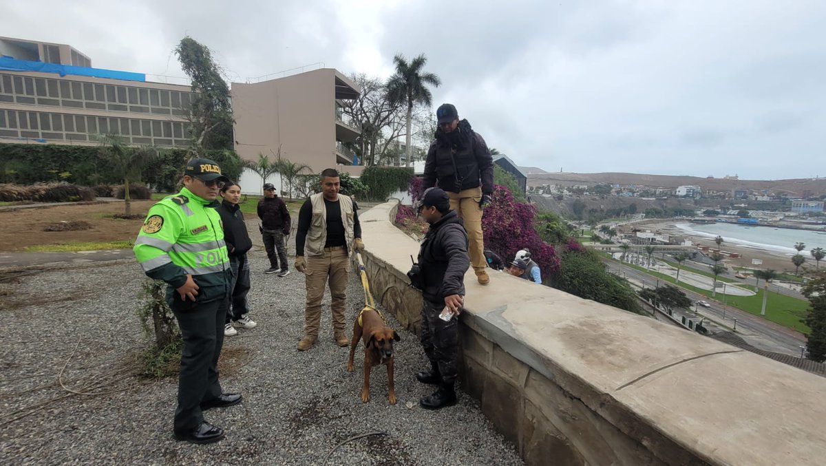 Municipalidad de Chorrillos tweet media