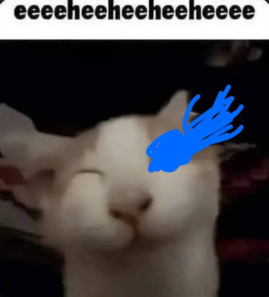 el bastardizador🕊️🕊️🕊️ tweet media