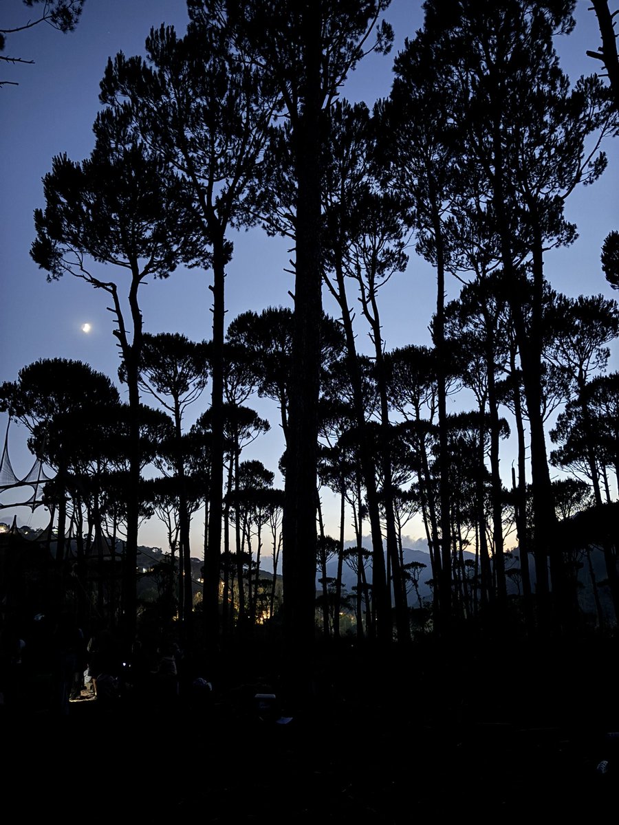 Soirée à la belle étoile 
Bon week-end 
📍Ain Zhalta | Chouf | Liban