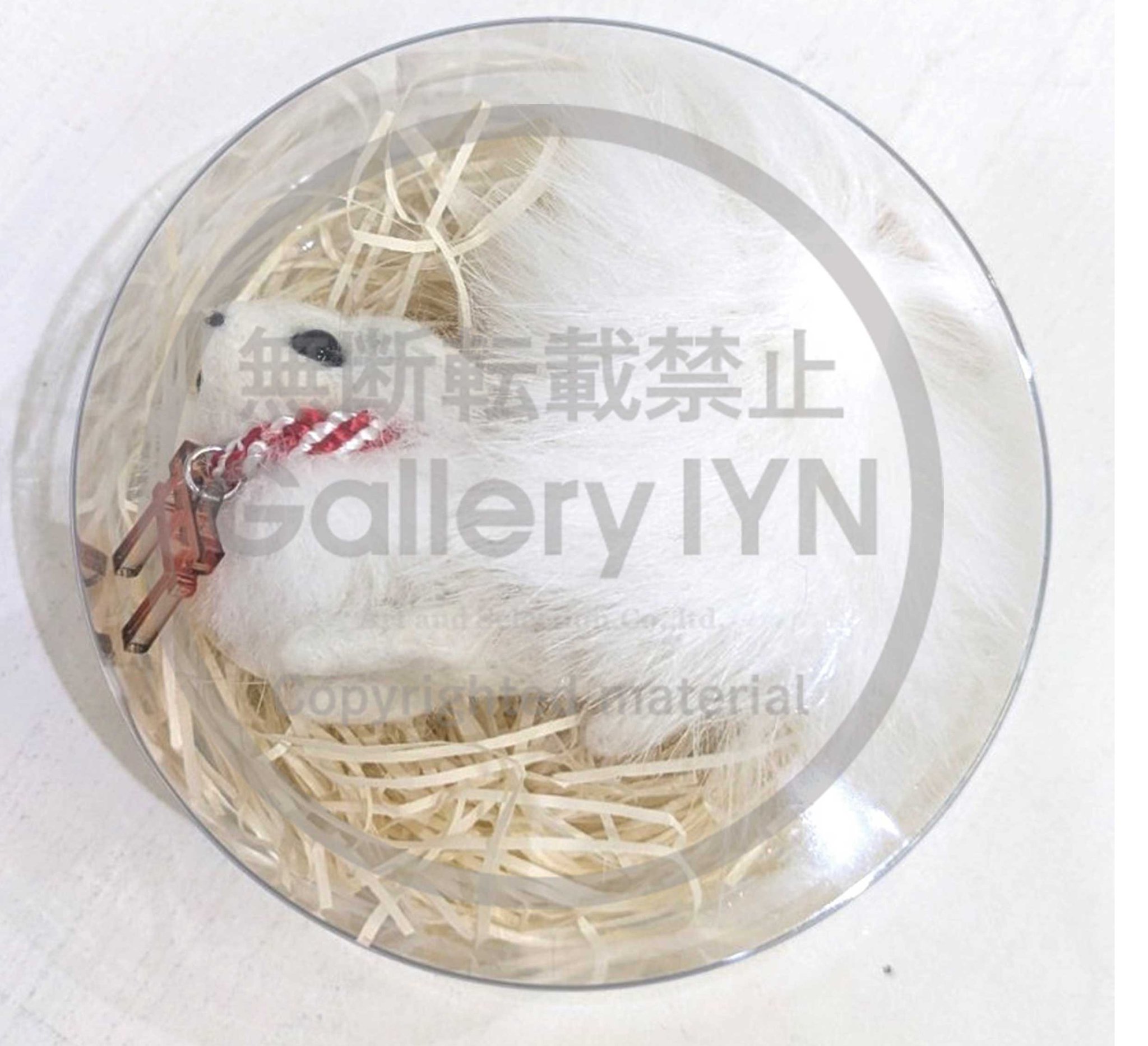 Artandselection～ARTSTORE IYN・Gallery IYN～公式 on X