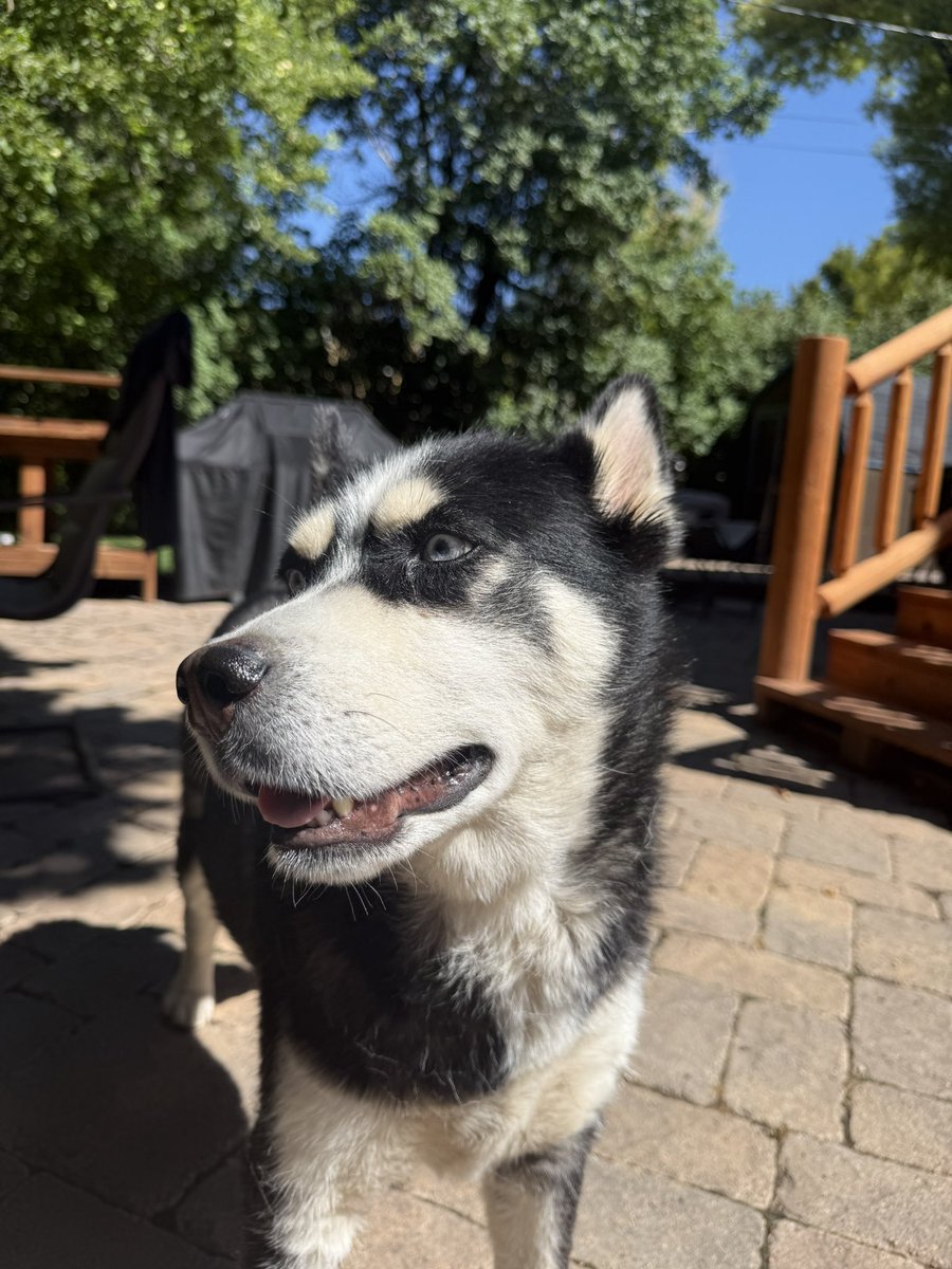 Sky Harris tweet media