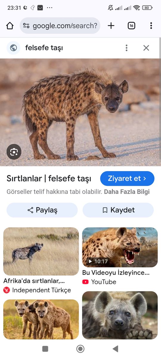 Kardelen tweet media