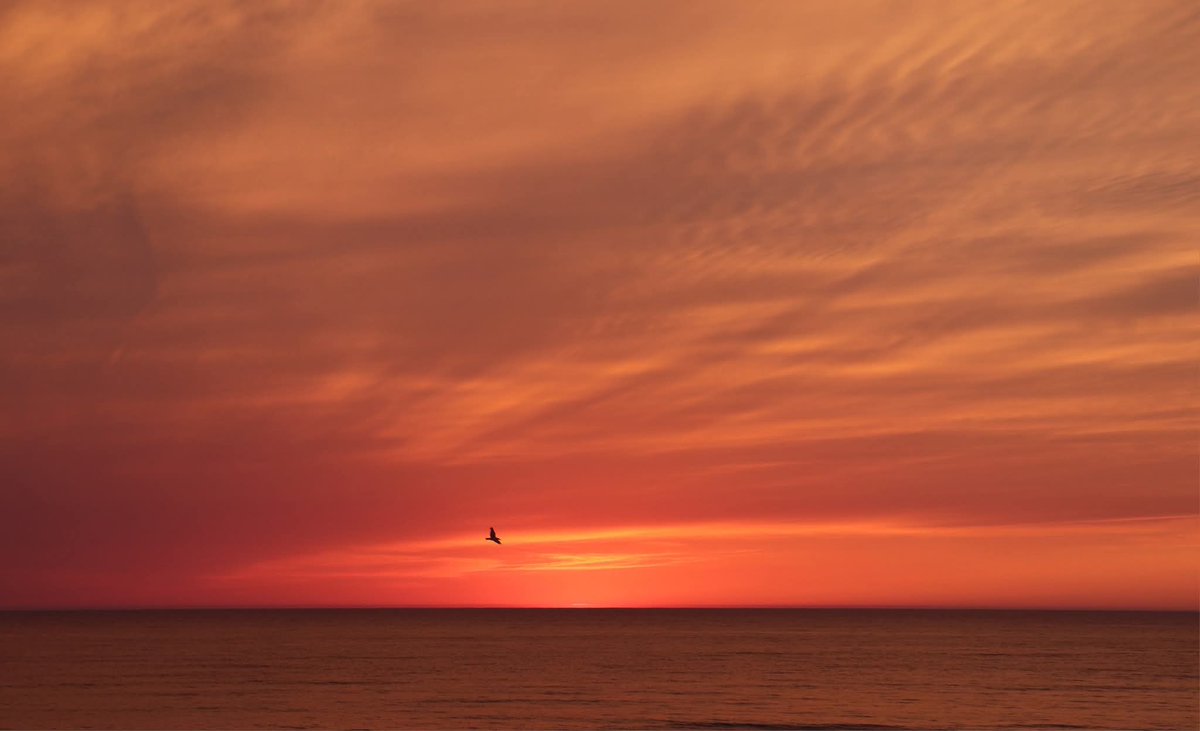 ...Les vacances ont dû engendrer de belles images. 
Le focus a déclenché de beaux tableaux. 
Le 11 juillet s’est déroulé un sublime coucher de soleil à Mimizan ( Les Landes)
Ces tableaux colorés entament cet ultime week-end d’Août.