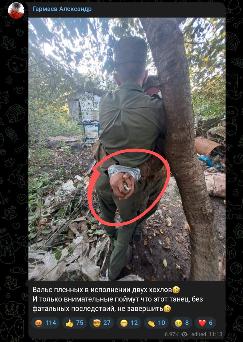 Another form of 🇷🇺 bestiality. They forced two 🇺🇦 PoWs to embrace each other and put a hand grenade with a pin pulled out into their tied hands. 

Photo proudly posted by russians as “PoW waltz”. 

#RussianWarCrimes #StandWithUkraine️