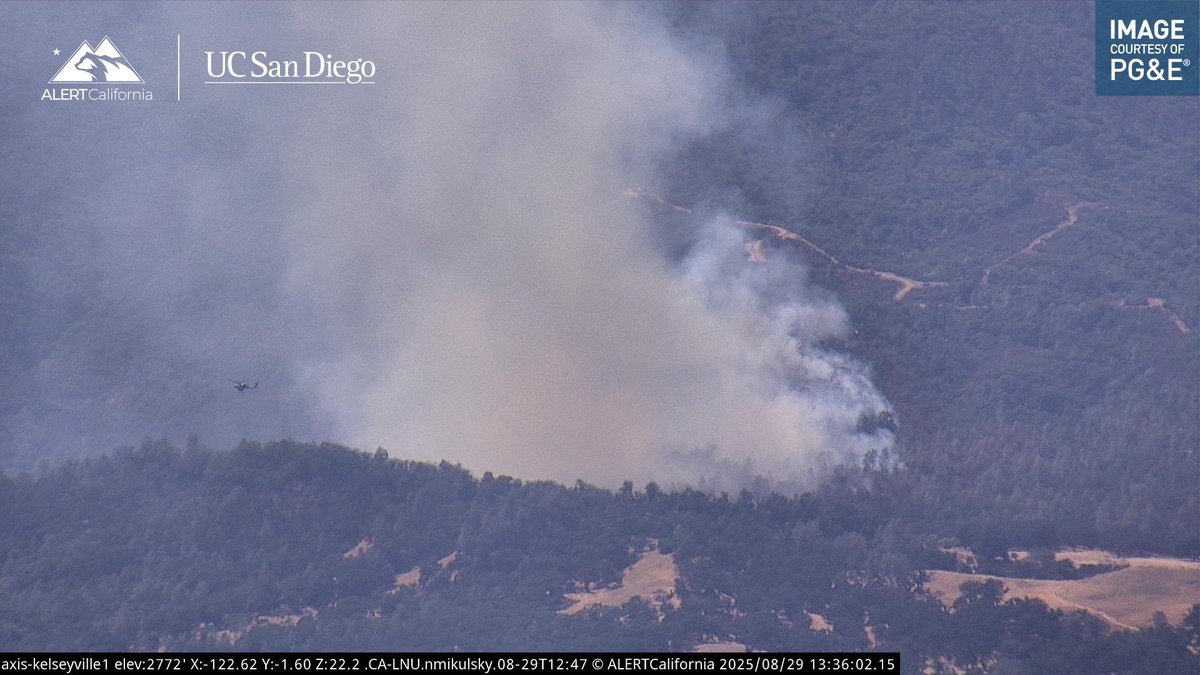 DanielFireTruck's tweet image. #PeterFire All Air Tankers are Released, Copters 5PJ, 6PG, 603 remains overhead.

Good Progress is being made by Air and Ground Resources.