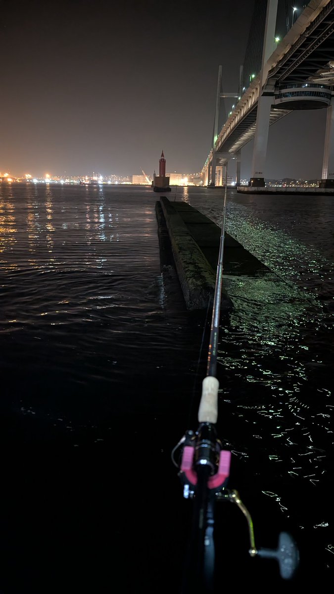 タマゾン川夜ハゼ釣行ちょ〜楽しいっ😁竹竿でアタリをビンビン感じながらで良い仕事をしてくれる竿に出逢えたっす(笑)
さぁ～、今日朝マヅメから夕マヅメまでこの場所でマゴチ釣行終盤戦闘いまっせ〜💪