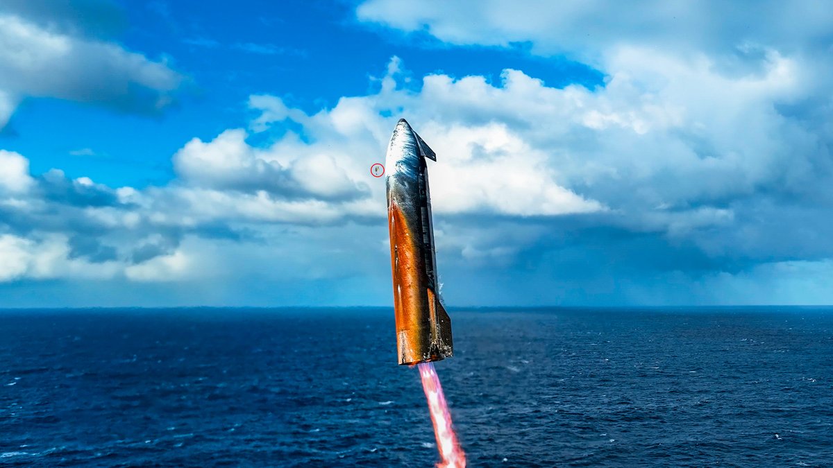 danroliver's tweet image. Taylor Swift and Travis Kelce to scale.