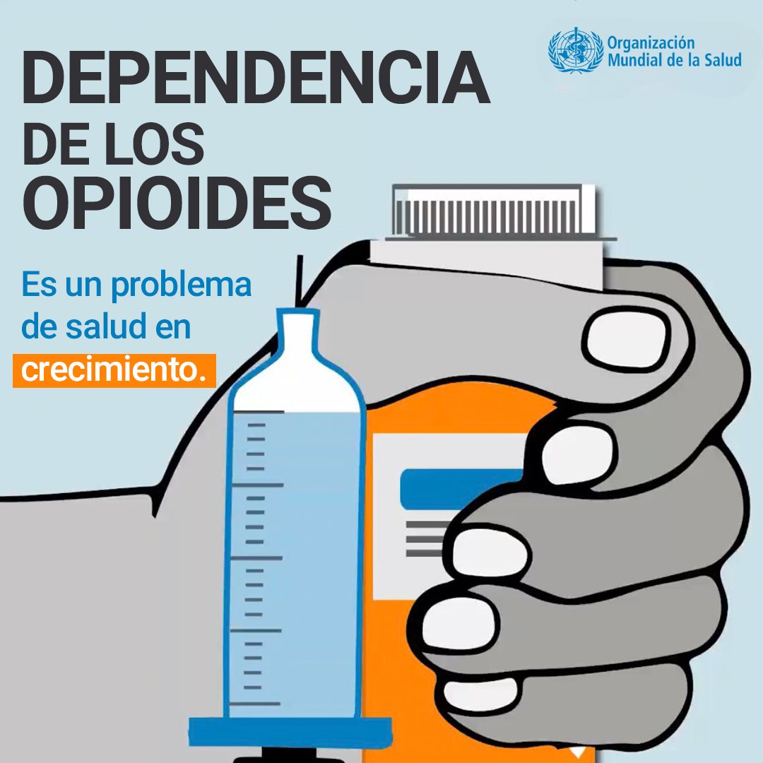 Naciones Unidas tweet media