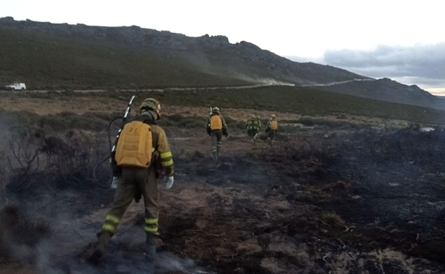 eldiadezamora tweet media