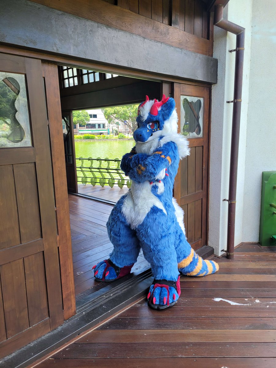 Let me see which cutie can keep me company for the Qixi Festival.

#FursuitFriday