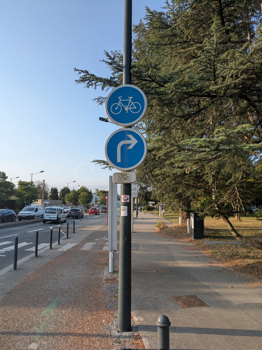 Maxime Duchamp tweet media