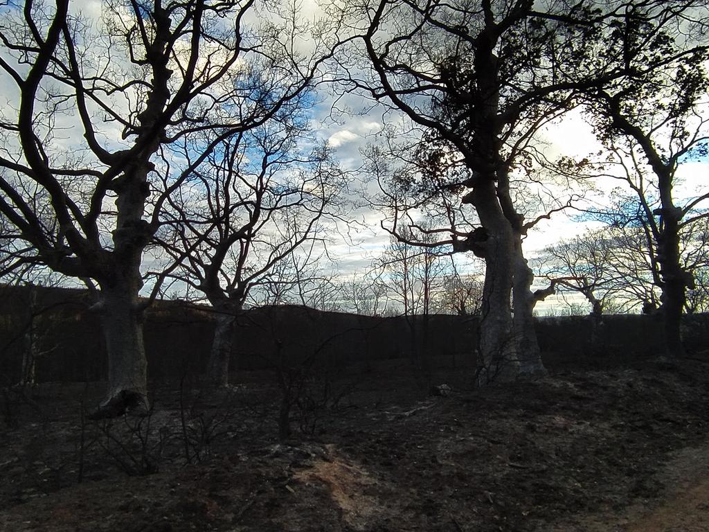 #IFCanalejas
No había querido subir a la majada del Holladero por no ver esto.