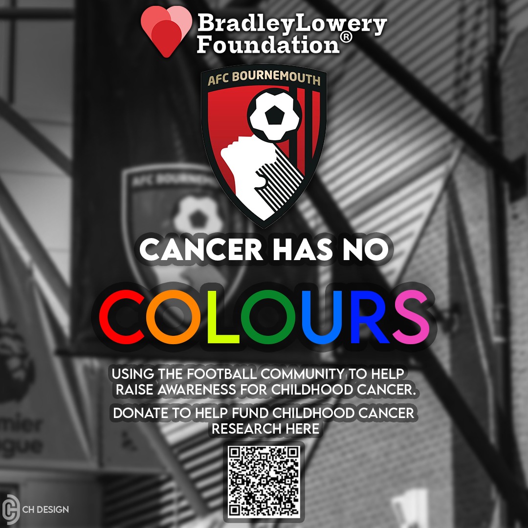 Bradley Lowery Foundation tweet media
