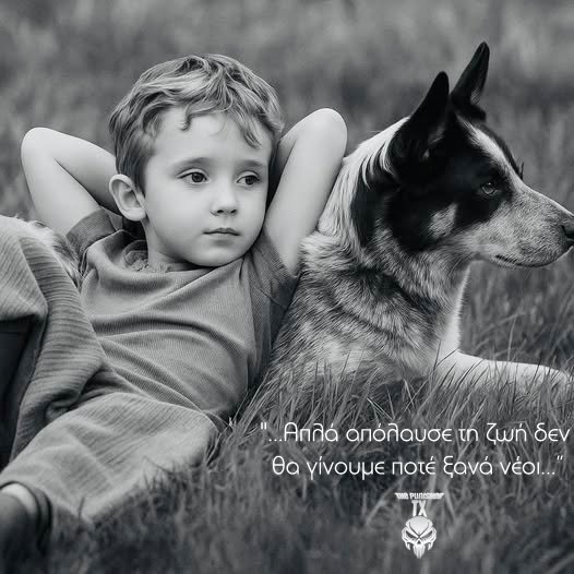 Atakesbestof (@atakesbestof) on Twitter photo 