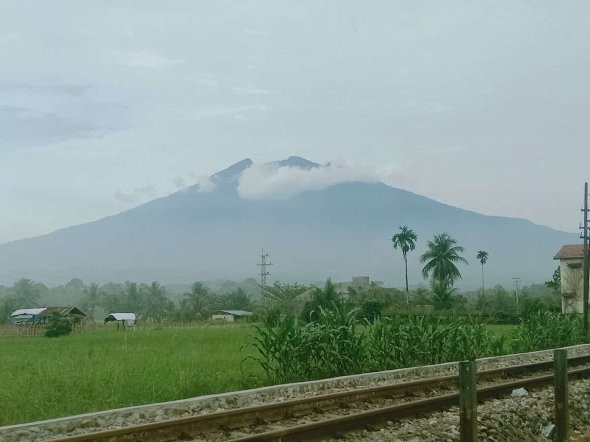 PapiFloChannel1's tweet image. otewe Sumbar...