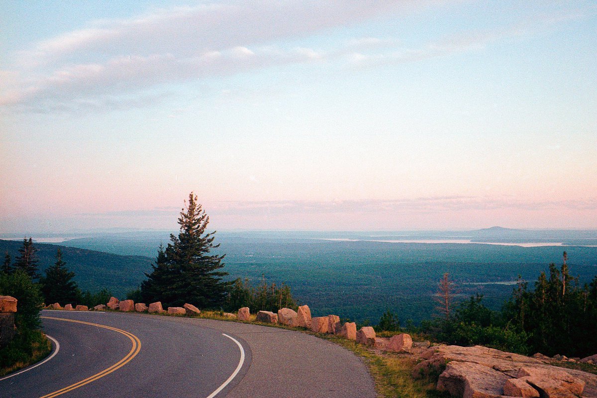 film photography 🎞️