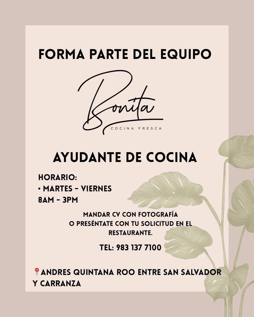 jorgerejonchan's tweet photo. ¡BONITA cocina fresca! 

Chetumal,QRoo https://t.co/zNUSEl9ZRZ
