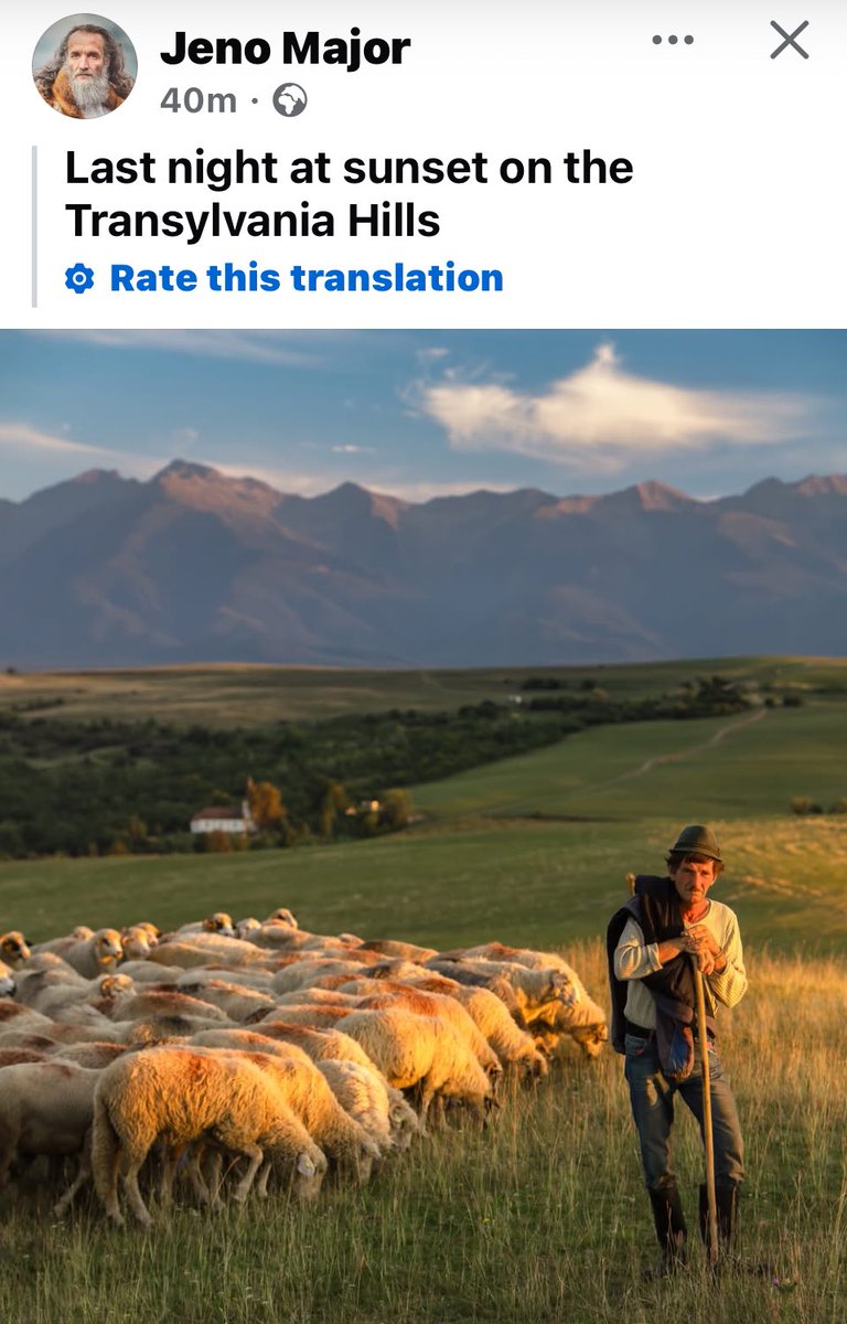 rattycastle's tweet image. From #jeno #sunsetphotography  #shepherding