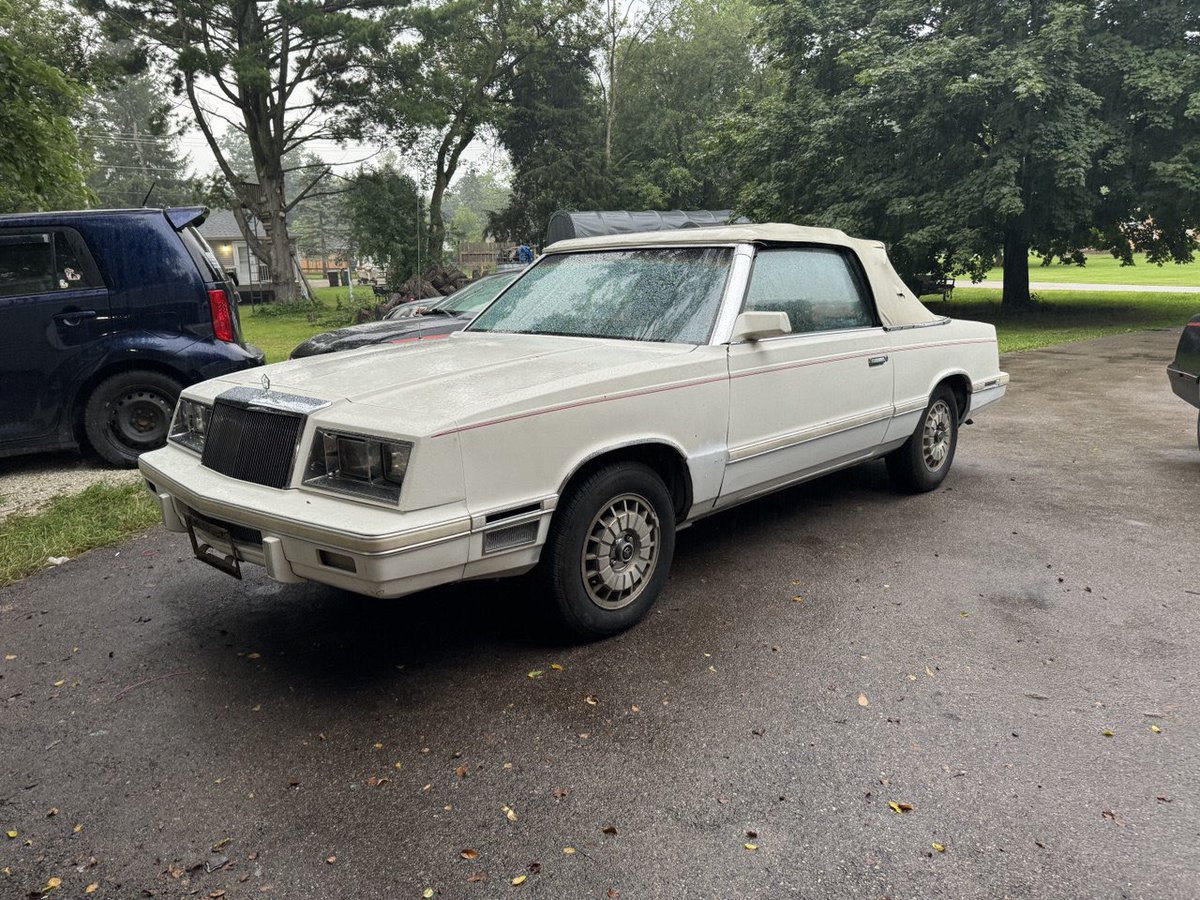 Soon my lovely, soon you will breath fire once again. 

The wheels, engine, all associated accessories came from that 1982 LeBaron convertible I had about a year or so about. Its transmission blew up right after I got it running.

I since scrapped the entire LeBaron after parting