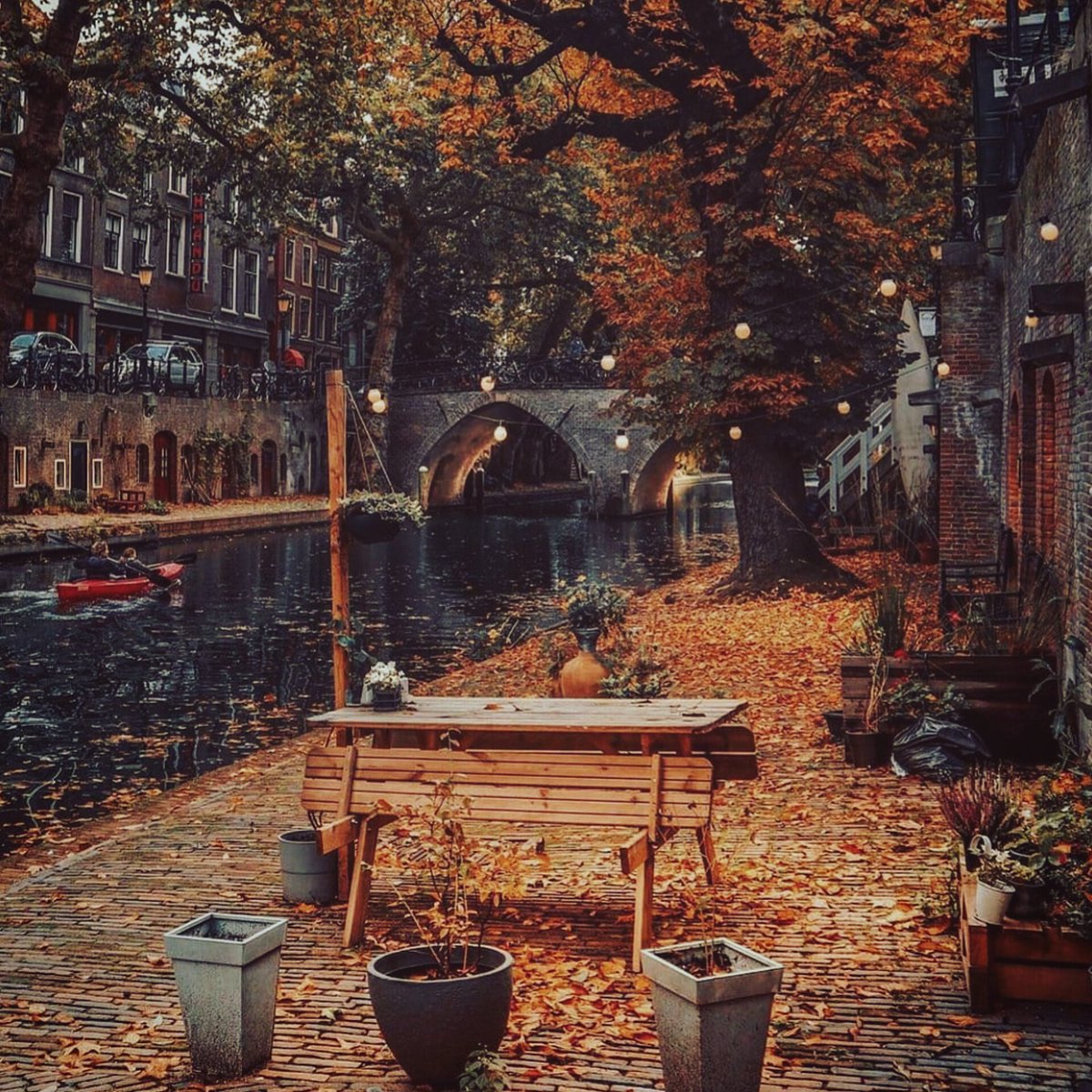 Kiminin çok çok sevdiği o atmosfer: Okullar açılmış, yapraklar dökülüyor, hava erken kararıyor, kapalı, yağmurlu ve serin hava, trençkotlar giyilmiş, mis gibi huzur...