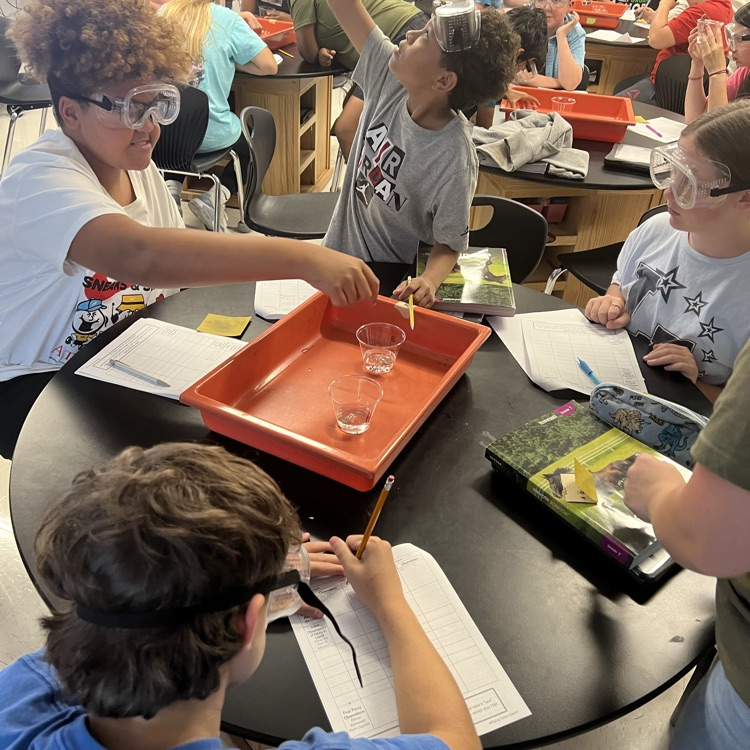 AthensCitySch's tweet photo. Lab in 7th grade science with Mrs. Gross. FULL ENGAGEMENT!! #ExcellenceIsACMS https://t.co/ajsFzVzROM