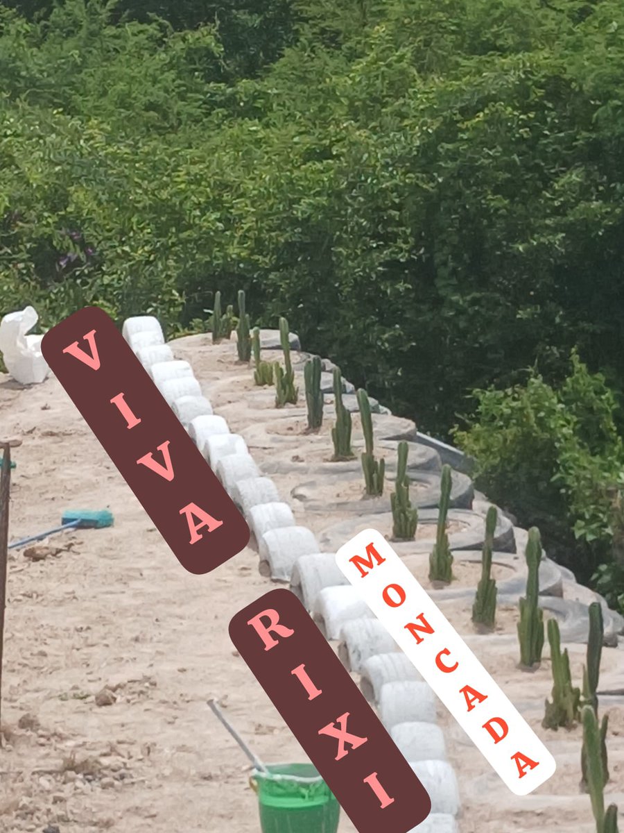 Desde mi bella tierra.
Yarumela,  La Paz.