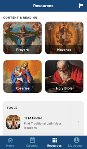 🚀 Just launched a new version of Sanctifica!

📖 Added the Douay-Rheims &amp; Latin Vulgate — one of the most requested features 🙌
🔍 Special search built in for quick Scripture access
🕊️ Simplified Resources tab (Prayers, Novenas, TLM Finder)
⛪ Fixes &amp; enhancements for Divine