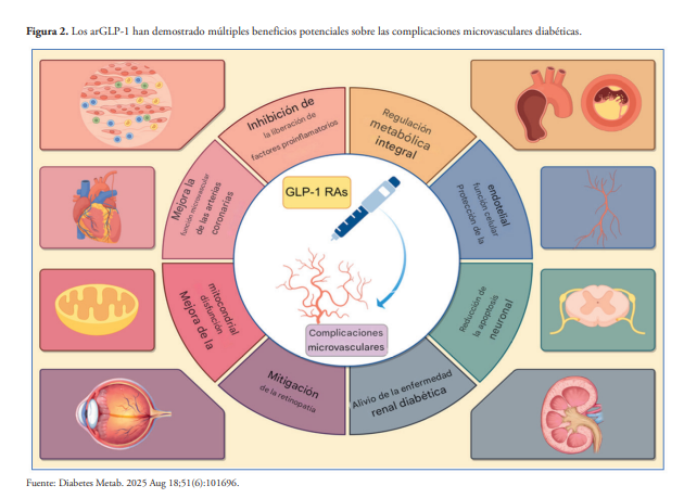 redGDPS's tweet photo. 📚Impacto de los agonistas del receptor #GLP-1 en la progresión de la #retinopatíadiabética y el riesgo de neuropatía óptica isquémica no arterítica. 👁️
Un pequeño/gran órgano diana de la #diabetes y los efectos de los #AGLP1
#Diabetespractica #DPredgdps
https://t.co/Bi2BpVSvwL https://t.co/UrKjqoKsem