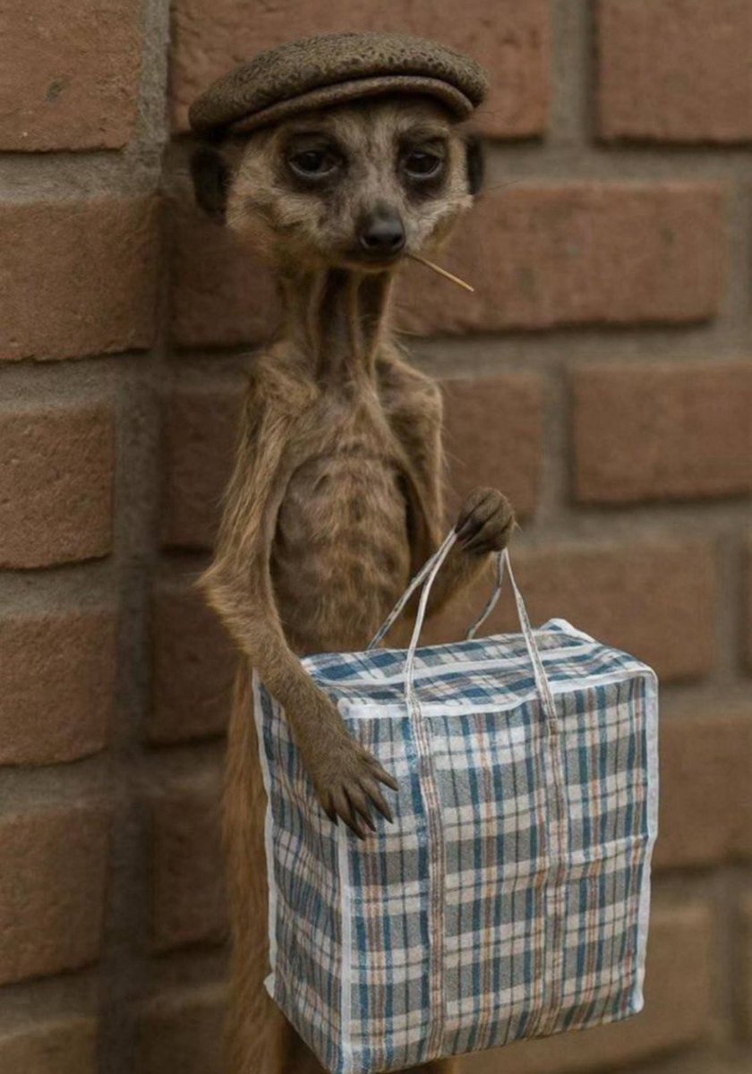 Promyzce_'s tweet image. 