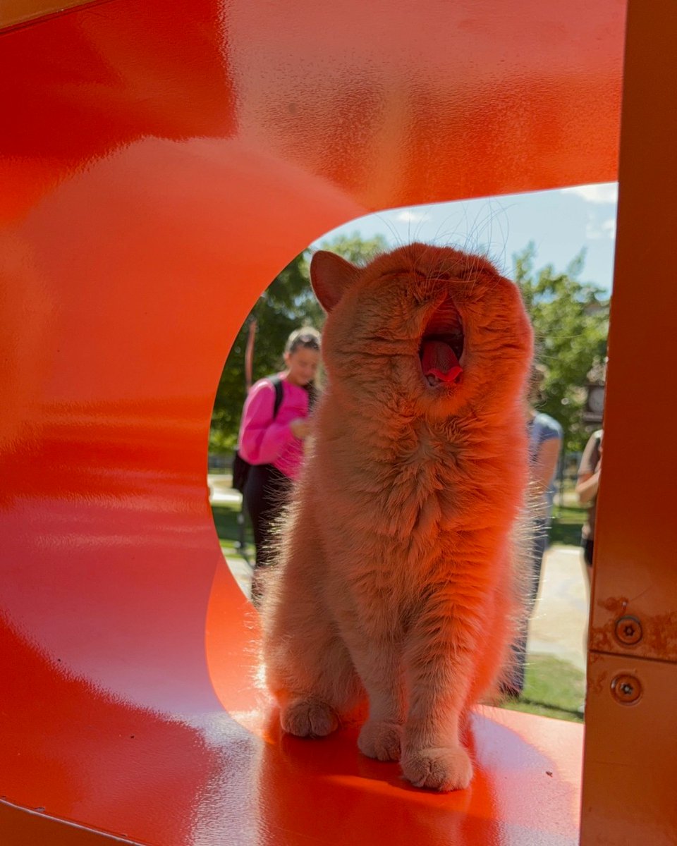 Bowling Green State University tweet media