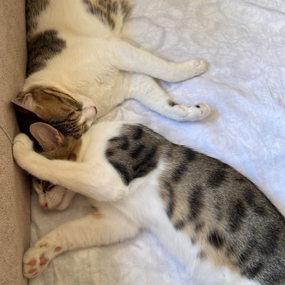 UTemirelli's tweet photo. #YeniProfilResmi https://t.co/dAlvQcspfF